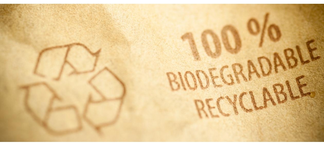 Frequently Asked Questions about Biodegradable Packaging